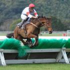 Counter Punch (Tommy Hazlett) clears the last fence on his way to winning the Wellington Hurdles...