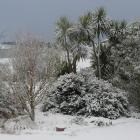 country_told_to_brace_for__perfect_storm__4e4463c961.JPG