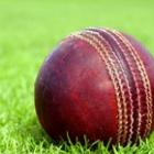 Cricket.jpg