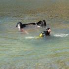 Cromwell diver Richard Wallis hooks a tow rope on to a Honda City in Lake Dunstan. Photos by...