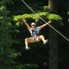 Customers could soon be gliding through the treetops at Bobs Peak above Queenstown on flying...
