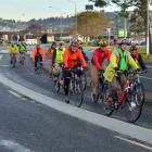 Cyclists use the new cycleway in Portobello Rd between Andersons Bay Rd and Portsmouth Dr. Photo...