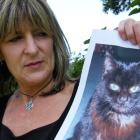 Deborah Davis, of St Kilda, is desperate to find her miniature, epileptic cat Bernie.Photo by...