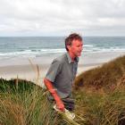 Department of Conservation biodiversity ranger Jim Fyfe searches for a sea lion pup in the sand...