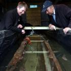 Department of Conservation historic technical adviser  Shar Briden (left) and Otakou runanga...