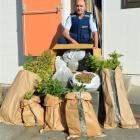 Detective Sergeant Stan Leishman, who is relieving in Balclutha, with the cannabis recovered from...