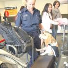 Detector dog handler Belinda Phelon and Zeta, Queenstown Airport’s first permanent detector dog,...
