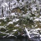 Doc is organising a replacement of the swingbridge across the Routeburn after a snow-laden tree...