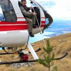 Doc Wakatipu ranger and Wakatipu Wilding Conifer Control Group operations manager Jamie Cowan...