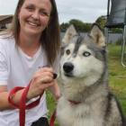 Dog aromatherapist Jo Thomas, of Wallacetown, near Invercargill, prepares to treat  her 6-year...