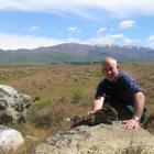 Don Robson, an Otago Regional Council biosecurity compliance officer in Alexandra, holds a newly...
