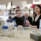 University of Otago medical scientists, geneticist Dr Tony Merriman, rheumatologist Prof John...