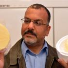 Dr Alaa El-Din A Bekhit holds cheese made from the milk of a deer. Photo by Stephen Jaquiery.