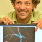 Dr Antonio Berretta, a postdoctoral research fellow at the University of Otago anatomy department...
