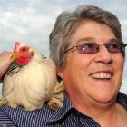 Dr Maureen Houstoun with one of her Pekin bantams, getting ready for the Dunedin Poultry, Pigeon...