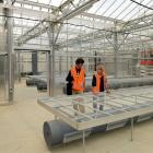 Dunedin Botanic Garden botanical services manager Tom Meyers and propagator Alice Lloyd-Fitt (at...
