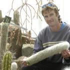 Dunedin Botanic Garden plant collection curator Stephen Bishop is astounded by two attacks of...