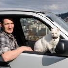 Dunedin builder Scott Broere (35), with Puss the cat, prepares for another trip into town. Photo...
