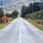 Dunedin City Council is committed to the $2.6 million upgrade of Riccarton Rd. Photo by Gregor...