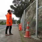 Dunedin City Council senior contract engineer Chris Hasler checks  the cliff wall in  Shore St,...