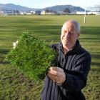 Dunedin City Council sports fields facilities officer Harold Driver displays a sample of...