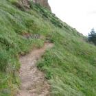 Dunedin City Council staff fear trampers using this unauthorised track built below a cliff at...
