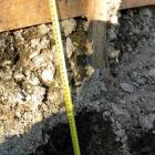 Dunedin city councillor-elect Lee Vandervis says his photograph of an 11,000-volt power cable...