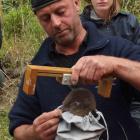 Dunedin fisherman Ant Smith measures a blue penguin chick at Long Point, in the Catlins, watched...