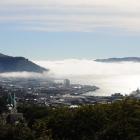 Dunedin Harbour. Photo by Craig Baxter.