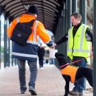 Dunedin LandSAR member Richard Warrington and search dog Quinn collect money in the Octagon, in...