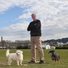 Dunedin man Bob Gillanders is taking aim at the Dunedin City Council over the cost of removing 12...