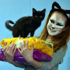 Dunedin pupil Grace Gardner (10) holds donated petfood and an SPCA kitten in Dunedin yesterday....