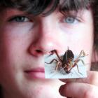 Dunedin's John McGlashan College pupil Morgan Shields holds one of his most "beautiful" exhibits,...