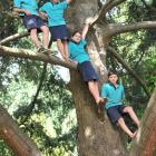 East Taieri School pupils (from left) Devin Colston (10), Jemma Wilson (9), Grace Cotter (10) and...