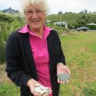 Edna Stevenson shows fragments of glass and pottery from the Te Rauone Reserve. A hazardous...