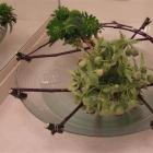 Elizabeth Stuart used hellebores from her own garden to create several stunning floral...