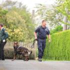 Emergency services, including Constable Brett Davidson, with police dog Borg, at the scene of...
