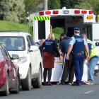 Emergency services treat a woman after a violent domestic incident in South Rd, Dunedin, last...