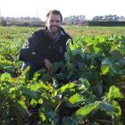 Environment Southland soil and science programme co-ordinator George Ledgard inspects a crop of...
