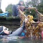 Extraordinary find . . . Volunteer divers Wayne Miller and Bradley Farquhar lift a discarded...