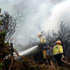 Firefighters from Portobello and St Kilda work to regain control of a controlled burn-off near...