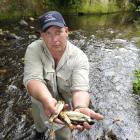 Fish and Game Otago ranger Steve Dixon displays some of the yearling trout found dead in Kaikorai...