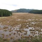 Fish and Game's plans for restoring the Takitakitoa Wetland might be able to proceed now...