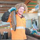 Fishy find: Wanaka recycling centre processor Dave Farr with one of two trout that came down the...