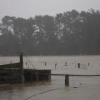 Flooding in North Otago where the Waiareka creek has burst its banks flooding surrounding...