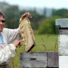 Former National Beekeepers Association of New Zealand president Frans Laas, pictured with honey...
