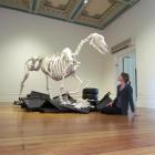 Forrester Gallery curator Alice Lake-Hammond views one of the latest exhibitions, sculptures by...
