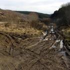 Four-wheel-drive vehicle tracks. Photo by Gerard O'Brien