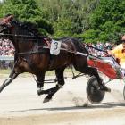Franco Ledger, who gained a start in the New Zealand Cup with his win at Addington last night....