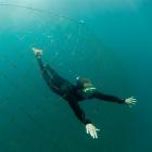 Free diver Chris Garden, of Dunedin, swims through a hole in a shark net he says was positioned...